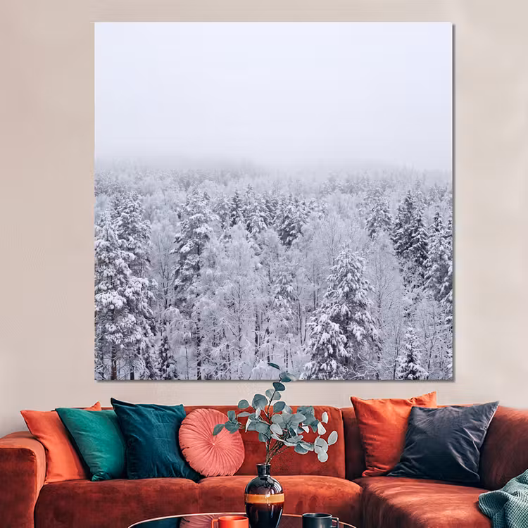 Forex - Bos - Sneeuw - Winter - Natuur - Wit — 3
