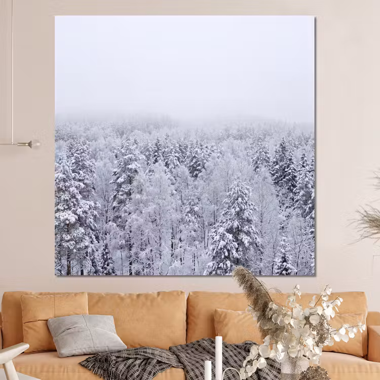 Forex - Bos - Sneeuw - Winter - Natuur - Wit — 4