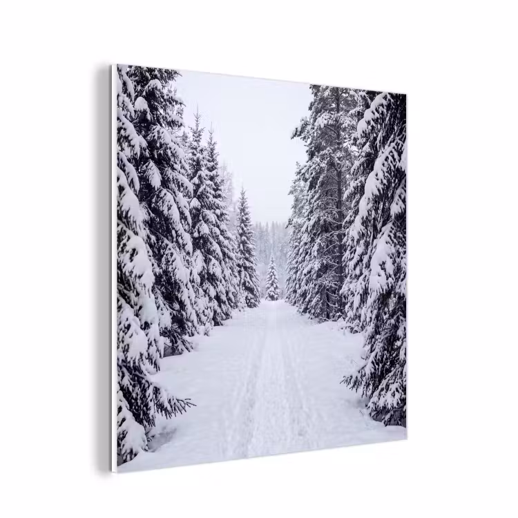 Forex - Bos - Winter - Sneeuw - Pad - Natuur — 1
