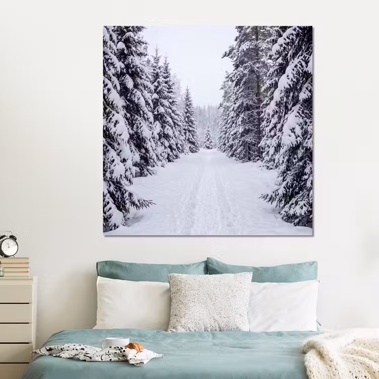 Forex - Bos - Winter - Sneeuw - Pad - Natuur — 2