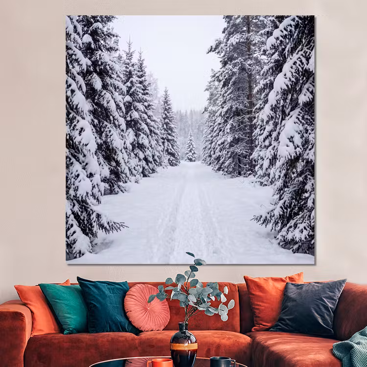 Forex - Bos - Winter - Sneeuw - Pad - Natuur — 3