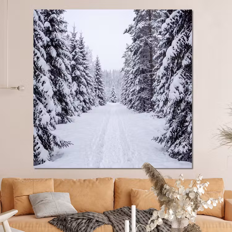 Forex - Bos - Winter - Sneeuw - Pad - Natuur — 4