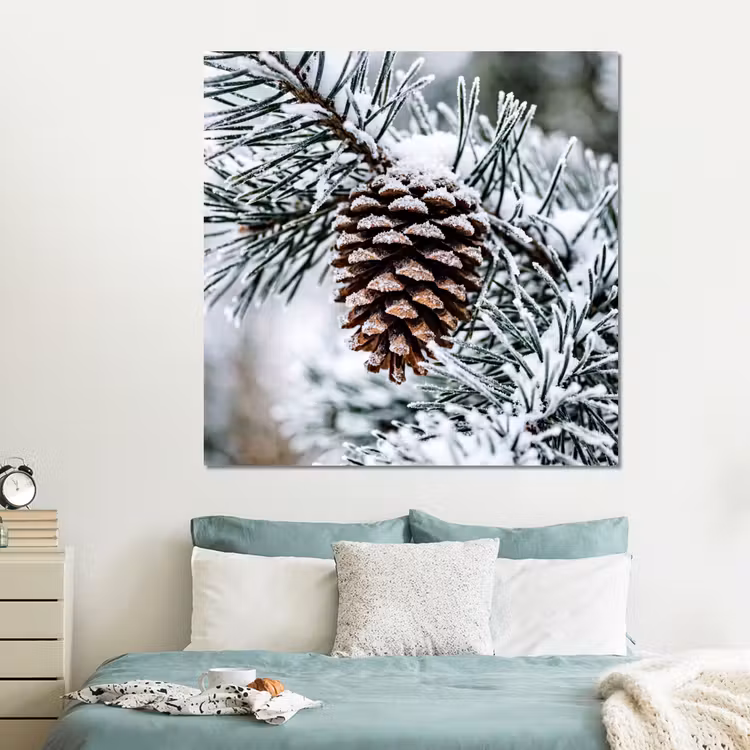 Forex - Dennenappel - Tak - Sneeuw - Winter - Sfeervol — 2