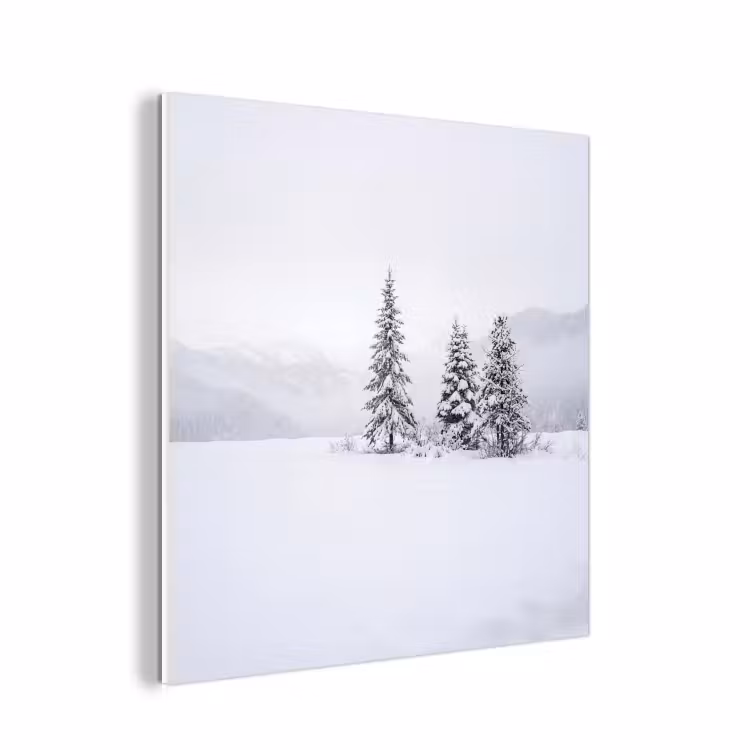 Forex - Fijnsparren - Sneeuw - Winter - Landschap - Stilte — 1