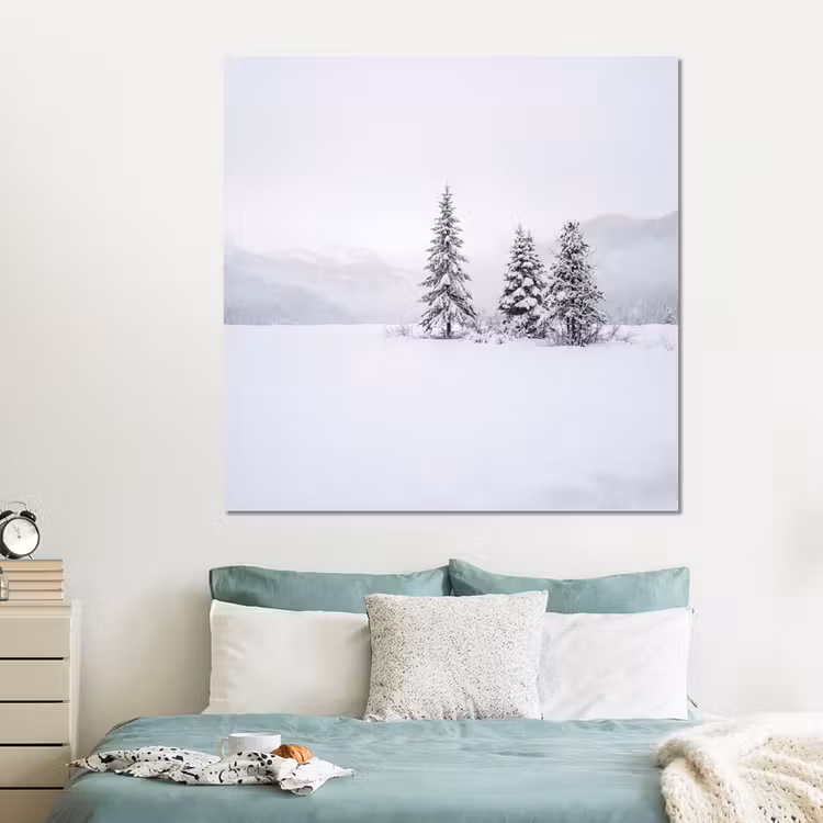 Forex - Fijnsparren - Sneeuw - Winter - Landschap - Stilte — 2