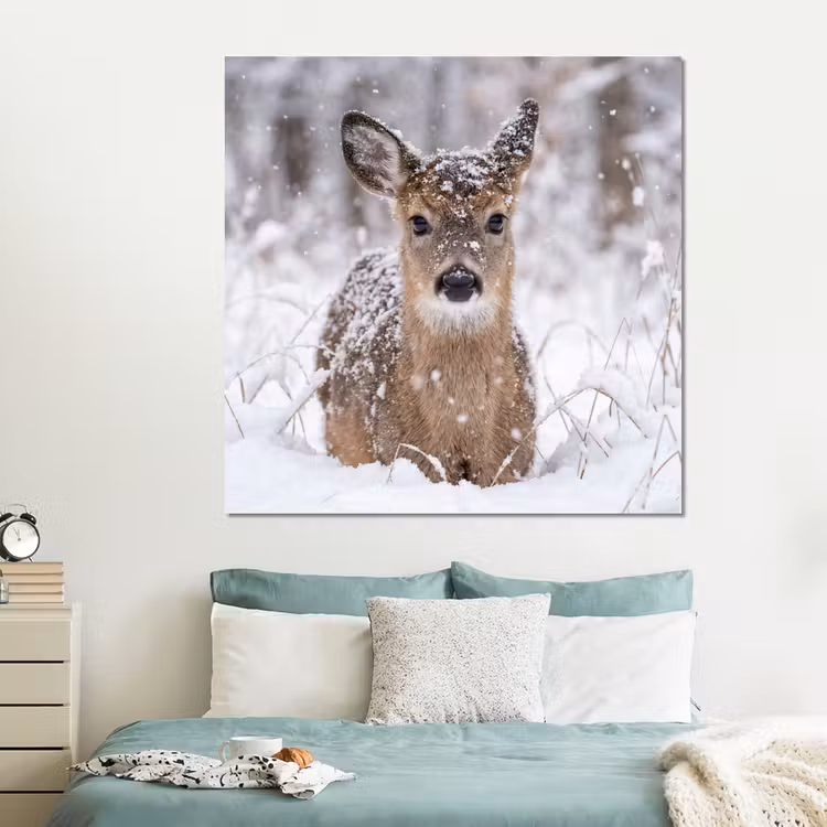 Forex - Hert - Sneeuw - Bos - Dieren - Vertederend — 2