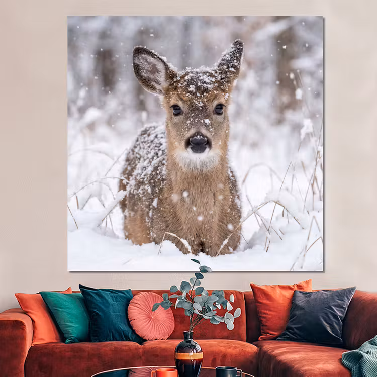 Forex - Hert - Sneeuw - Bos - Dieren - Vertederend — 3
