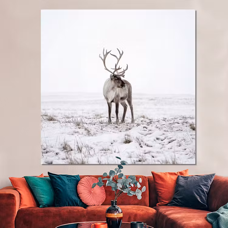 Forex - Rendier - Gewei - Sneeuw - Winter — 3