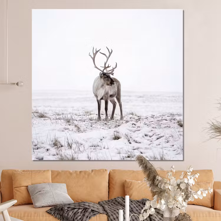 Forex - Rendier - Gewei - Sneeuw - Winter — 4