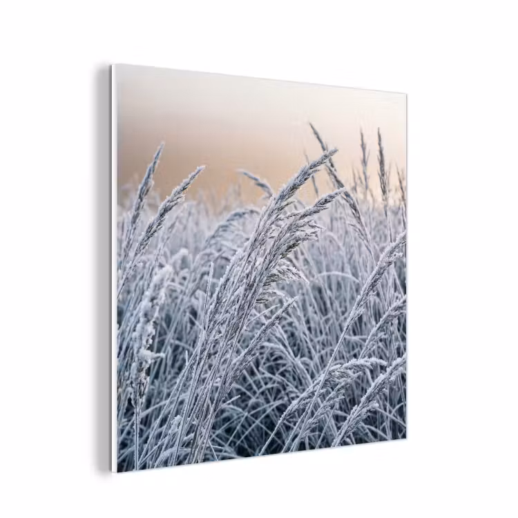 Forex - Rijp - Gras - Kristallen - Winter - Minimalistisch — 1