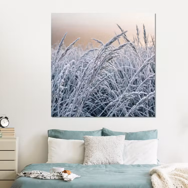 Forex - Rijp - Gras - Kristallen - Winter - Minimalistisch — 2