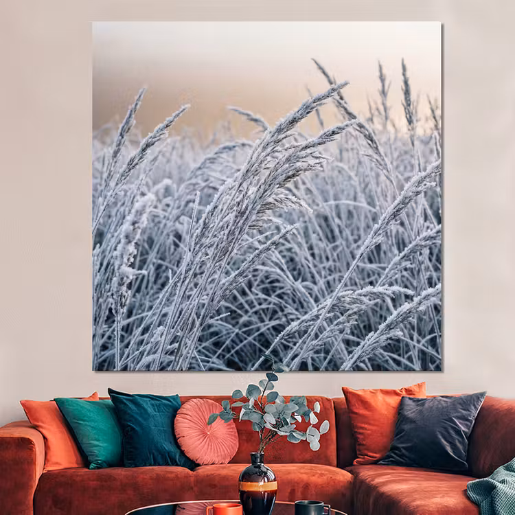 Forex - Rijp - Gras - Kristallen - Winter - Minimalistisch — 3