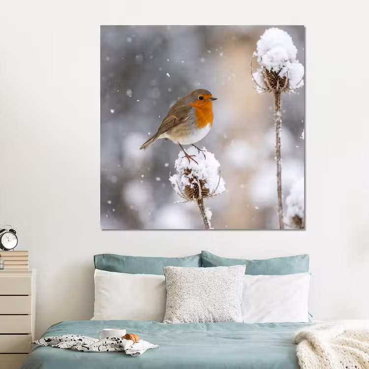 Forex - Roodborstje - Gedroogde bloem - Sneeuw - Winter - Vertederend — 2
