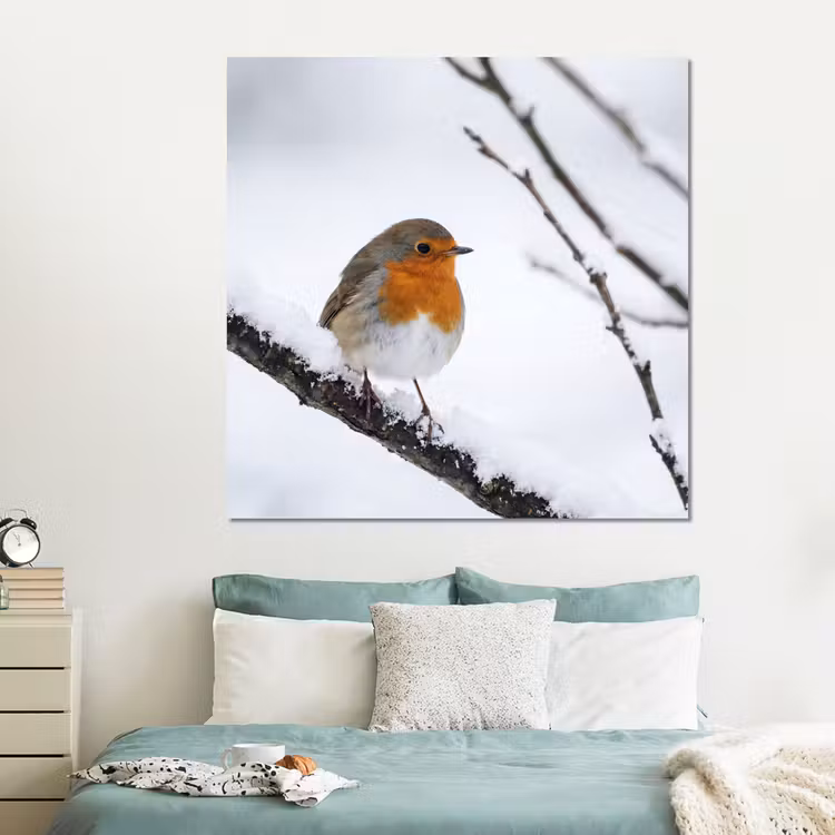 Forex - Roodborstje - Tak - Sneeuw - Winter - Levendig — 2