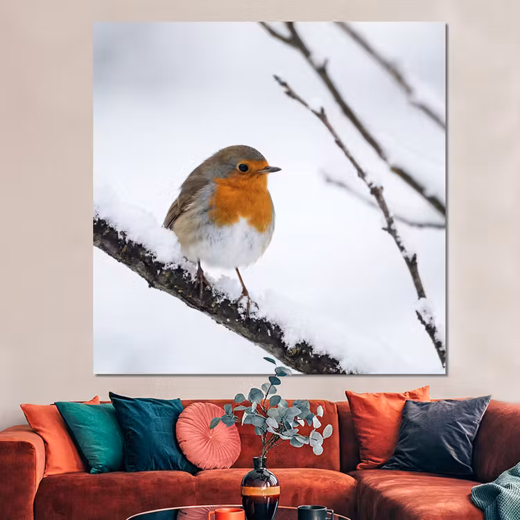 Forex - Roodborstje - Tak - Sneeuw - Winter - Levendig — 3