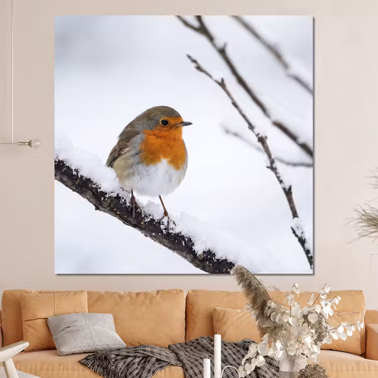 Forex - Roodborstje - Tak - Sneeuw - Winter - Levendig — 4