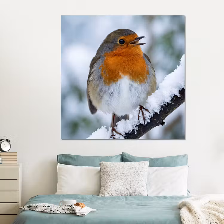 Forex - Roodborstje - Tak - Sneeuw - Winter - Levendig — 2