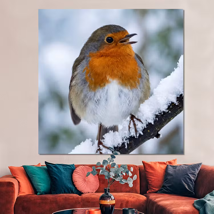 Forex - Roodborstje - Tak - Sneeuw - Winter - Levendig — 3