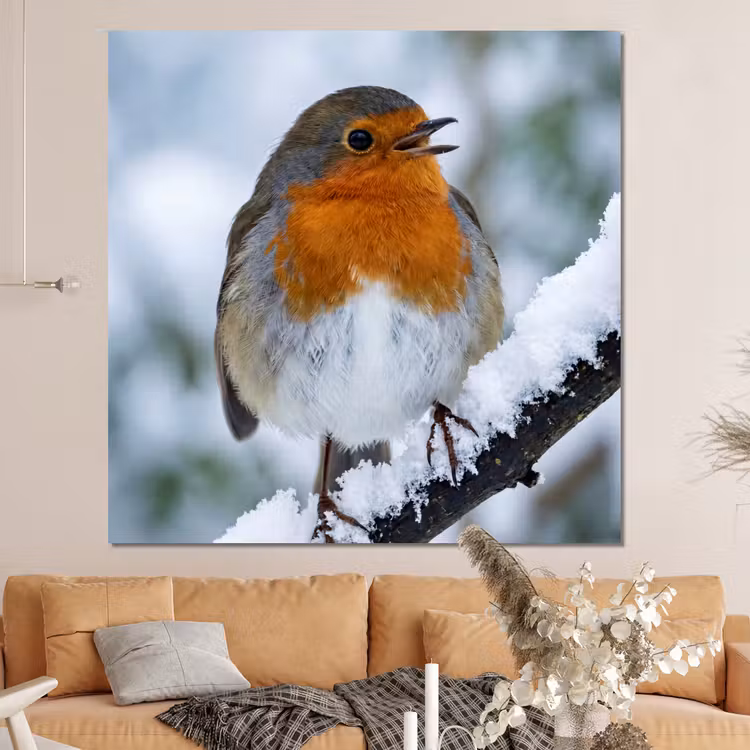 Forex - Roodborstje - Tak - Sneeuw - Winter - Levendig — 4