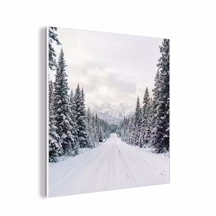 Forex - Weg - Sneeuw - Naaldbos - Winter - Avontuurlijk — 1