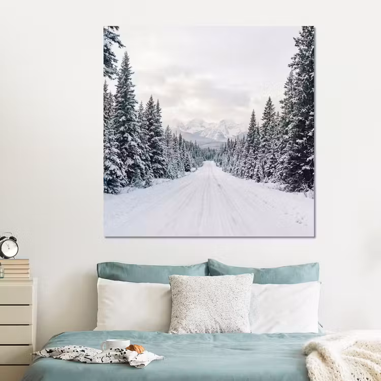 Forex - Weg - Sneeuw - Naaldbos - Winter - Avontuurlijk — 2