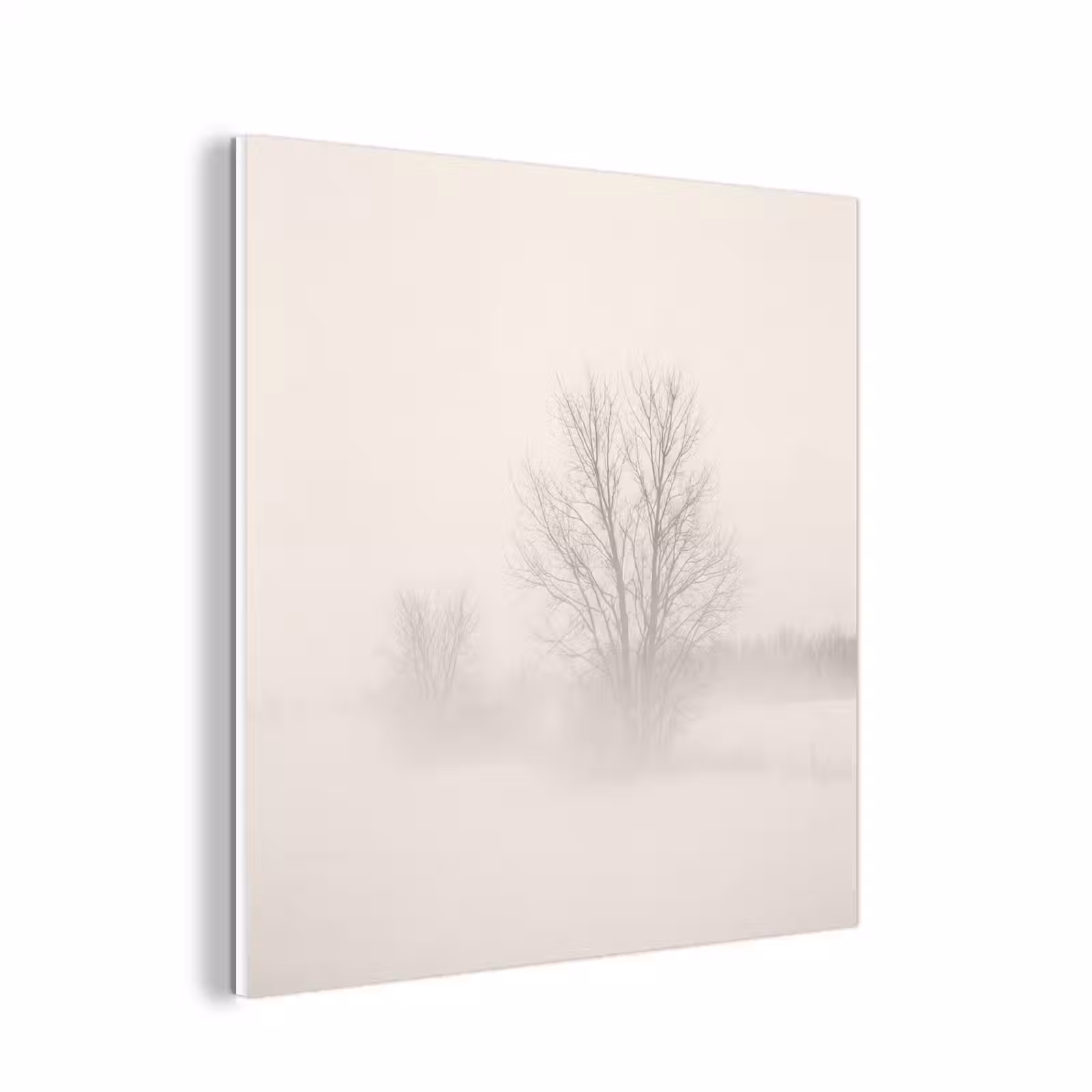 Forex - Boom - Mist - Sneeuw - Winter - Minimalistisch — 1