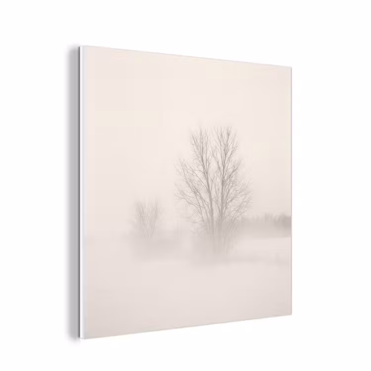Forex - Boom - Mist - Sneeuw - Winter - Minimalistisch — 1