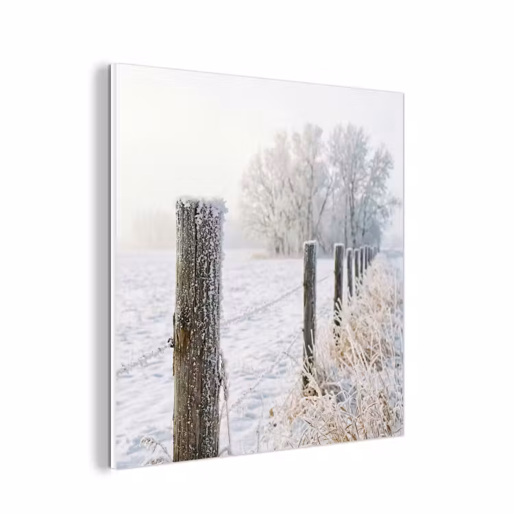 Forex - Hek - Sneeuw - Mist - Platteland - Nostalgisch — 1