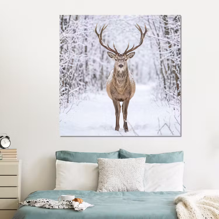 Forex - Hert - Winter - Bos - Natuur - Wit — 2