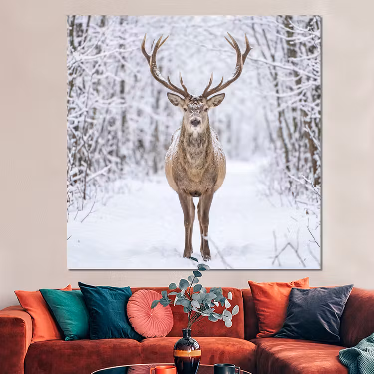Forex - Hert - Winter - Bos - Natuur - Wit — 3