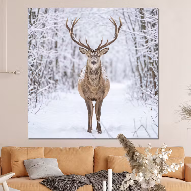 Forex - Hert - Winter - Bos - Natuur - Wit — 4