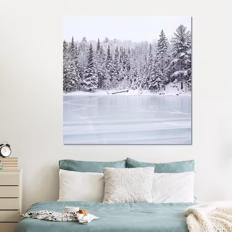 Forex - Meer - Dennen - IJs - Winter - Rustgevend — 2