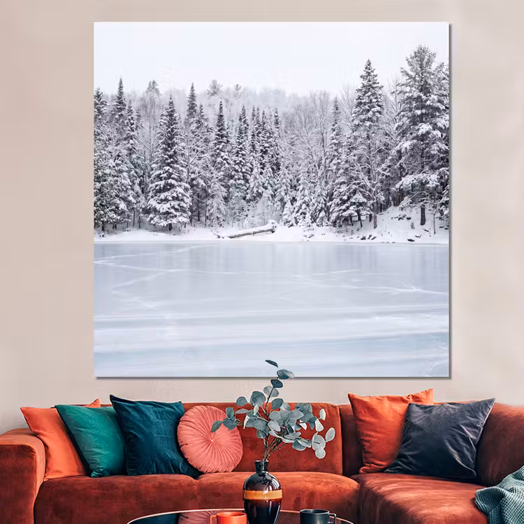 Forex - Meer - Dennen - IJs - Winter - Rustgevend — 3