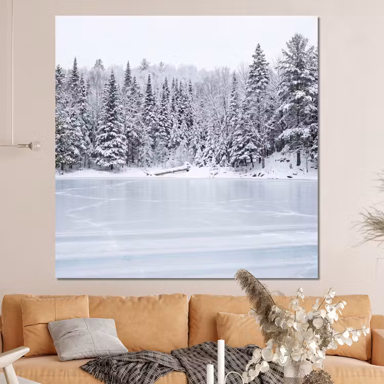 Forex - Meer - Dennen - IJs - Winter - Rustgevend — 4