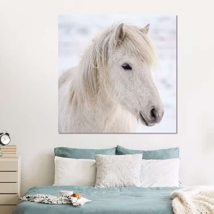 Forex - Paard - Kop - Winter - Dieren - Wit — 2