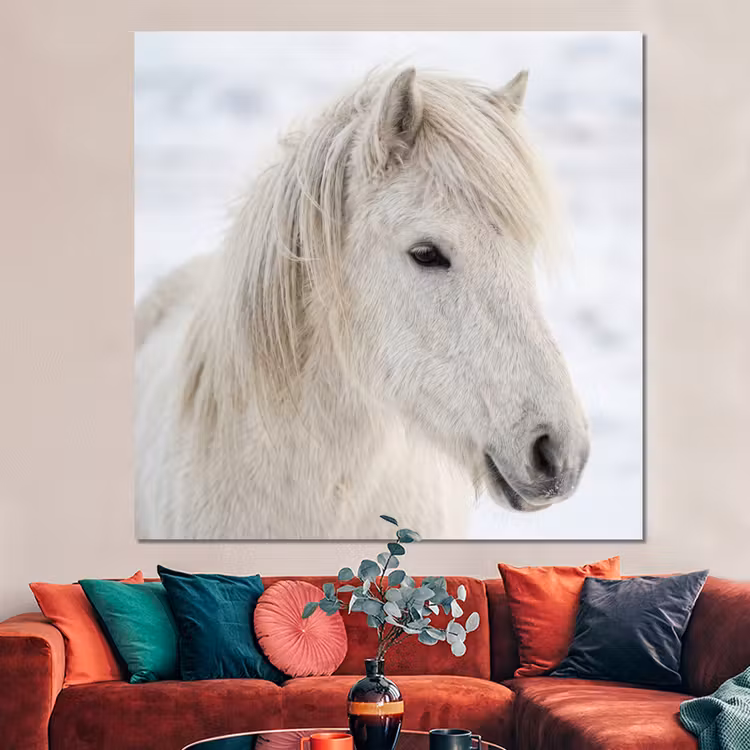 Forex - Paard - Kop - Winter - Dieren - Wit — 3