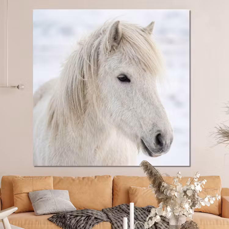 Forex - Paard - Kop - Winter - Dieren - Wit — 4