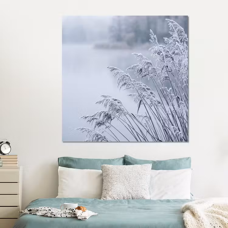 Forex - Riet - Bevroren - Winter - Natuur — 2