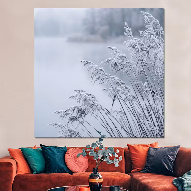 Forex - Riet - Bevroren - Winter - Natuur — 3