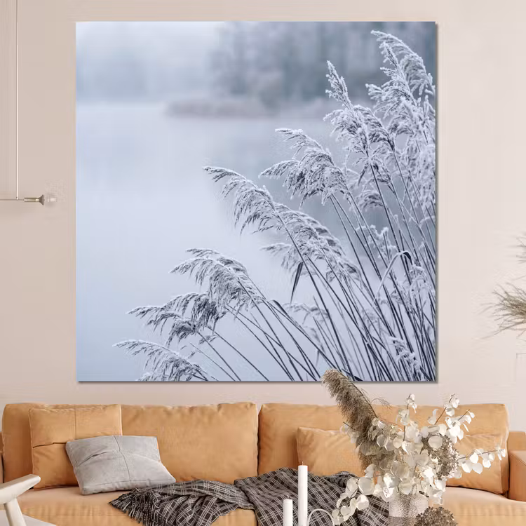 Forex - Riet - Bevroren - Winter - Natuur — 4