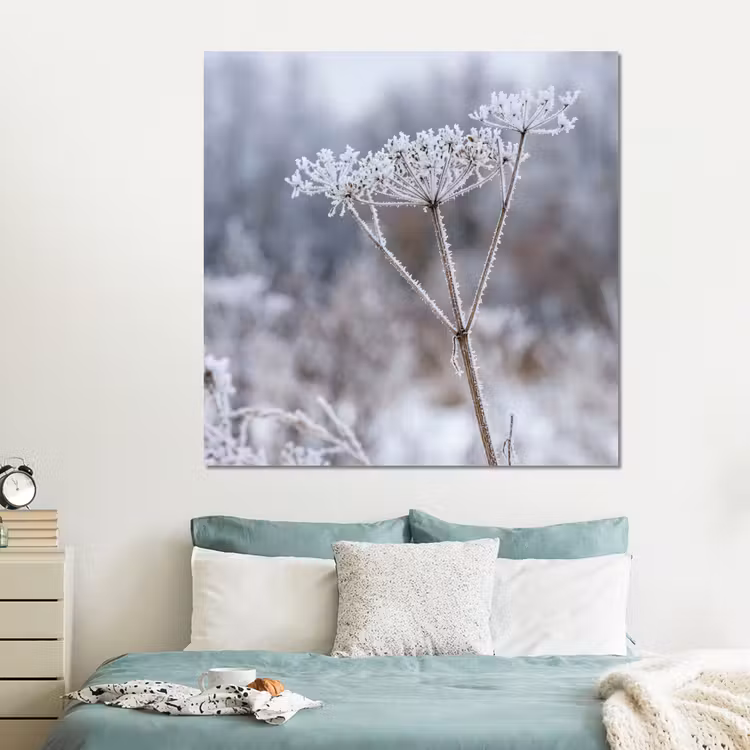Forex - Schermbloem - Rijp - Kristallen - Winter - Delicaat — 2