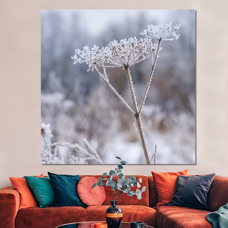 Forex - Schermbloem - Rijp - Kristallen - Winter - Delicaat — 3