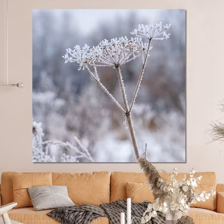 Forex - Schermbloem - Rijp - Kristallen - Winter - Delicaat — 4