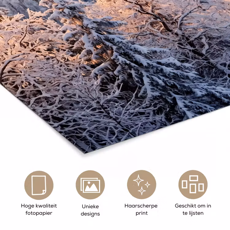 Poster - Bos - Bergen - Goud - Winter - Warm — 5