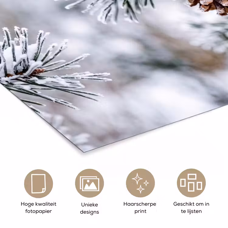 Poster - Dennenappel - Tak - Sneeuw - Winter - Sfeervol — 5