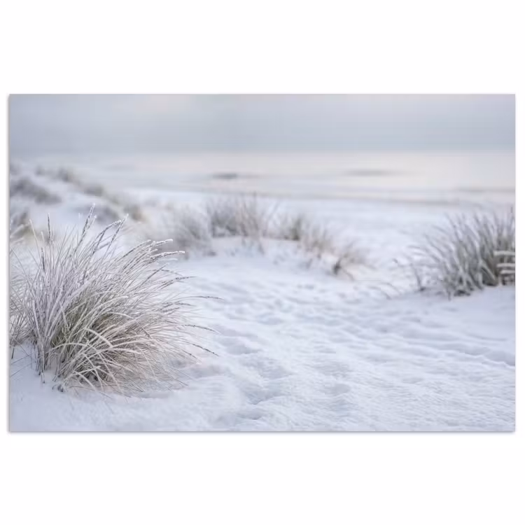 Poster - Duinen - Sneeuw - Strand - Winter - Serene — 1