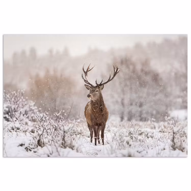 Poster - Edelhert - Bos - Sneeuw - Winter - Majestueus — 1