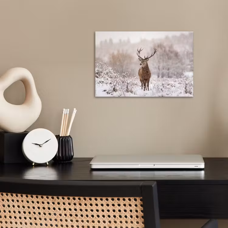 Poster - Edelhert - Bos - Sneeuw - Winter - Majestueus — 2