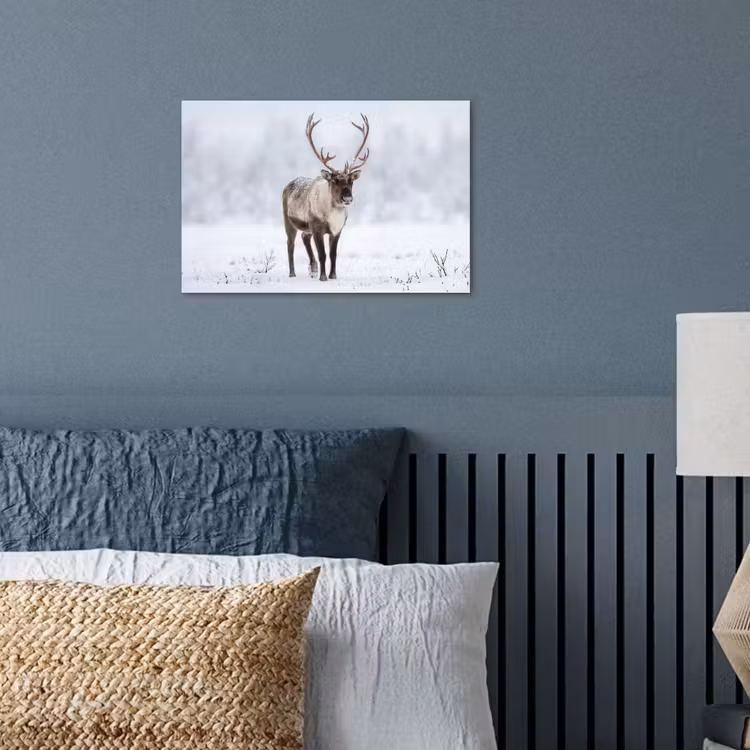 Poster - Rendier - Gewei - Toendra - Sneeuw - Wild — 3