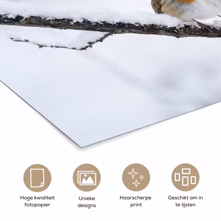 Poster - Roodborstje - Tak - Sneeuw - Winter - Levendig — 5